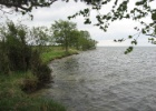 Duitsland Elly (59)